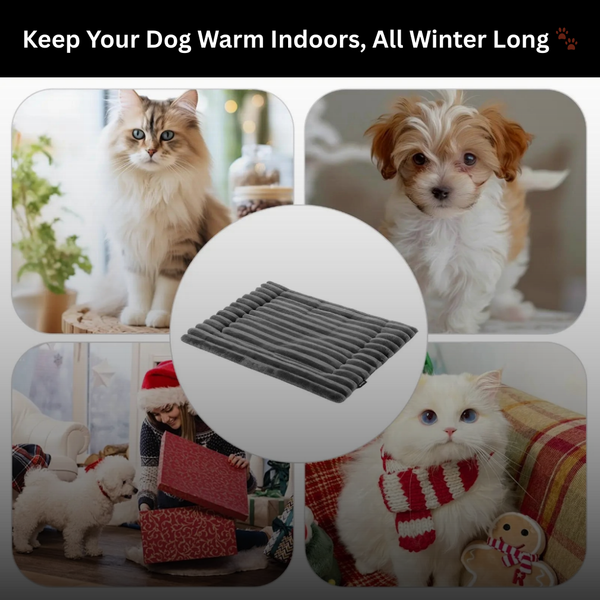 PawWarm™ Cozy Pet Heating Mat